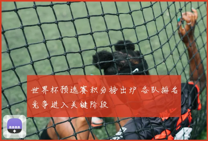 世界杯预选赛积分榜出炉 各队排名竞争进入关键阶段